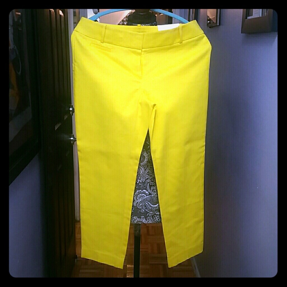 Loft Marisa Fit Ankle Capri